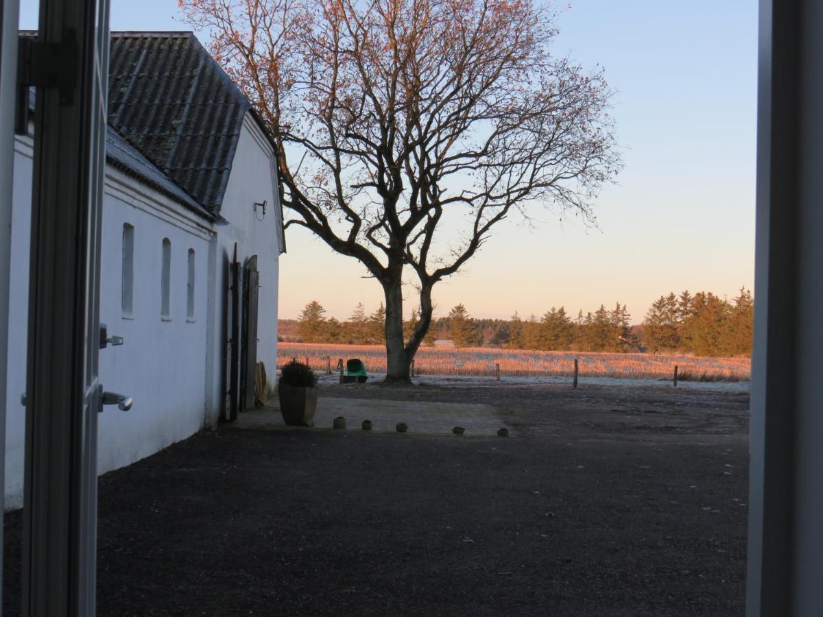 Hotel Bogelund Sleep-In Kårup Exterior foto